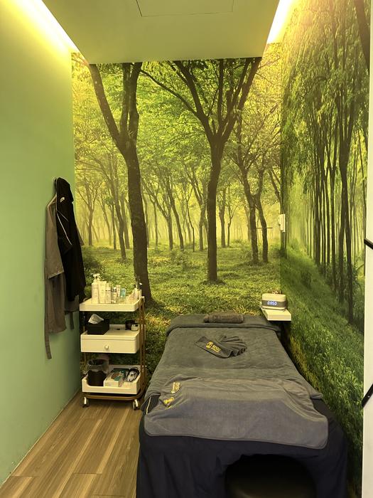 Treatment room with a forest mural